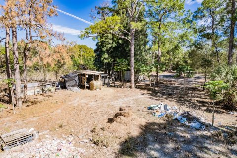 Land in Clewiston, Florida № 1370663 - photo 4