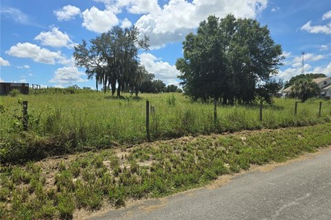 Terreno en venta en Frostproof, Florida № 1354441 - foto 4