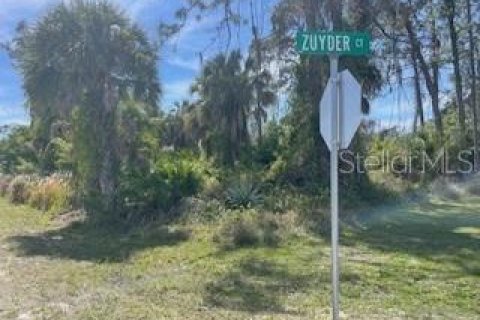 Land in North Port, Florida № 1064695 - photo 6