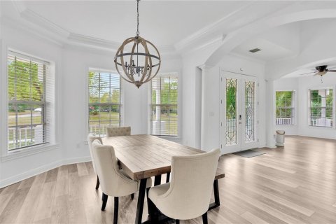 Villa ou maison à louer à Thonotosassa, Floride: 5 chambres, 392.14 m2 № 1358350 - photo 8