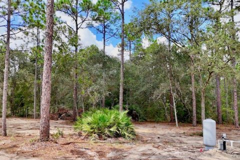 Villa ou maison à vendre à Ocala, Floride: 3 chambres, 168.8 m2 № 1349587 - photo 27