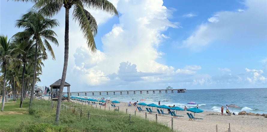 Condo à Deerfield Beach, Floride, 1 chambre  № 1171071