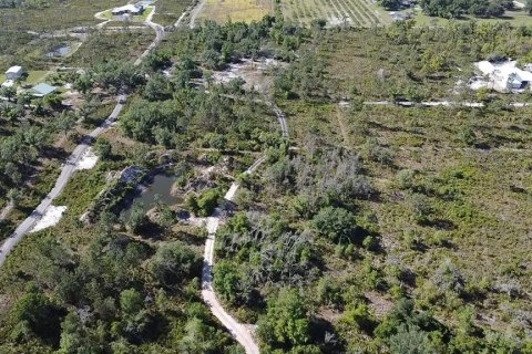 Terreno en venta en Arcadia, Florida № 1402177 - foto 2