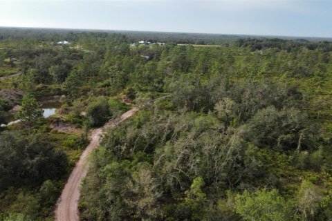 Terreno en venta en Arcadia, Florida № 1402177 - foto 8