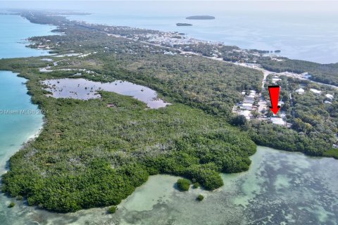 Commercial property in Key Largo, Florida 165.55 sq.m. № 1321340 - photo 5