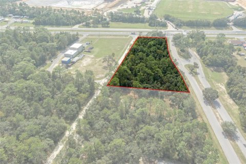 Terreno en venta en Lecanto, Florida № 1403483 - foto 5