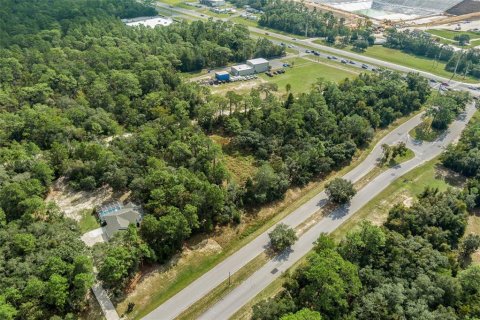 Terreno en venta en Lecanto, Florida № 1403483 - foto 16