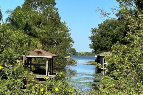 Land in Lake Placid, Florida № 1077595 - photo 1