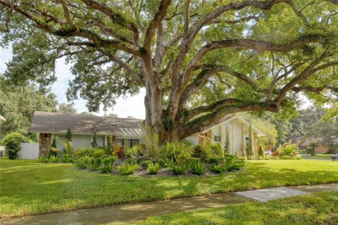 House in Tampa, Florida 4 bedrooms, 275.64 sq.m. № 1402485 - photo 12