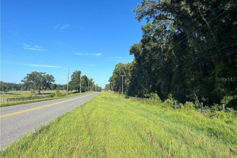 Land in Inverness, Florida № 1357408 - photo 2