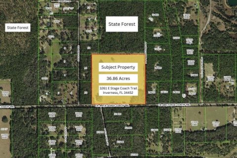 Terreno en venta en Inverness, Florida № 1357408 - foto 1