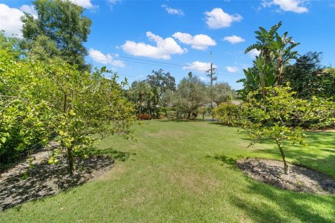 Land in Tampa, Florida № 1243002 - photo 2