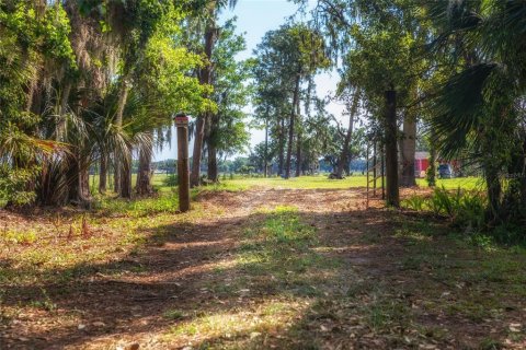 Terreno en venta en Plant City, Florida № 1303260 - foto 2