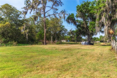 Terreno en venta en Plant City, Florida № 1303260 - foto 10