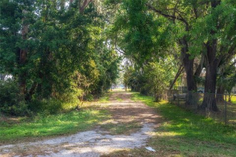 Terreno en venta en Plant City, Florida № 1303260 - foto 1