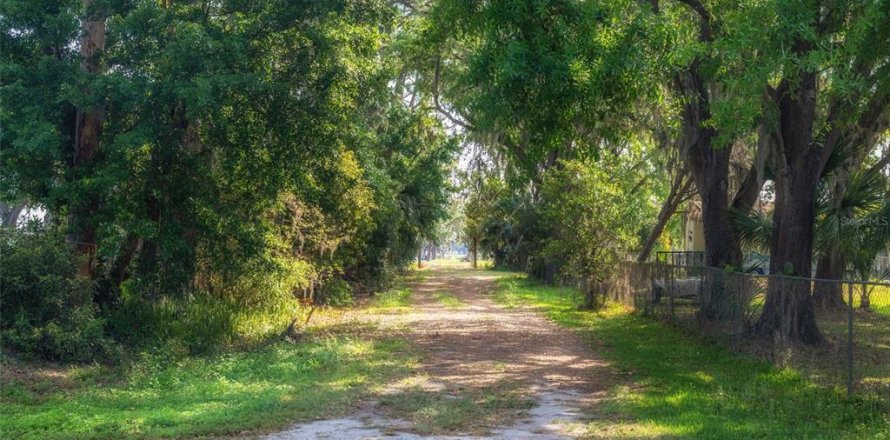 Terreno en Plant City, Florida № 1303260