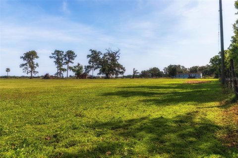 Terreno en venta en Plant City, Florida № 1303260 - foto 6