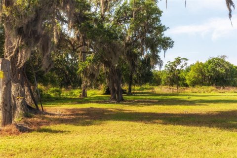 Terreno en venta en Plant City, Florida № 1303260 - foto 8