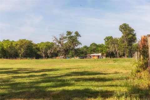 Terreno en venta en Plant City, Florida № 1303260 - foto 9