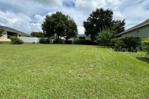 Land in Lakeland, Florida № 1349138 - photo 2