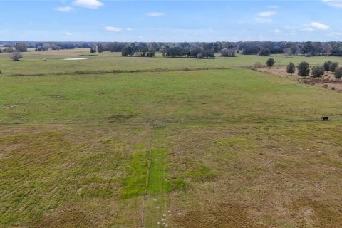 Land in Center Hill, Florida № 1263016 - photo 17