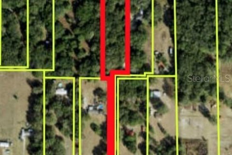 Terreno en venta en Weirsdale, Florida № 1298269 - foto 1